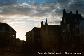 Den Bosch I