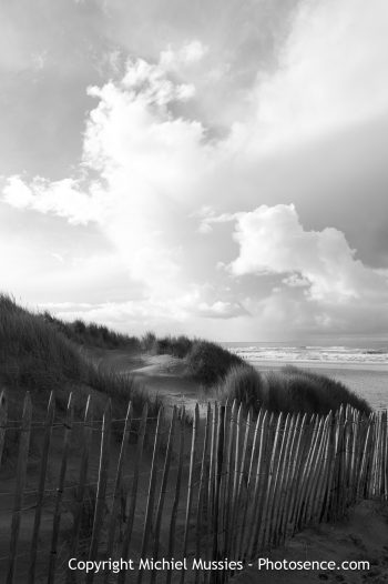 Dunes I