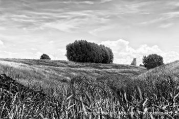 Landscape I