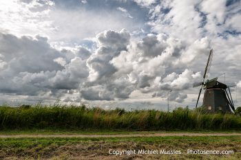 Windmill Maasland