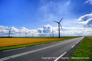 Landscape III (color)
