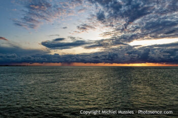 Texel