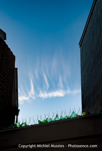 Den haag Sunset III